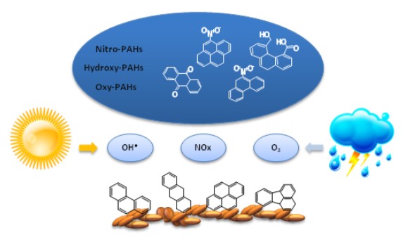 heterogeneous oxidation of pahs