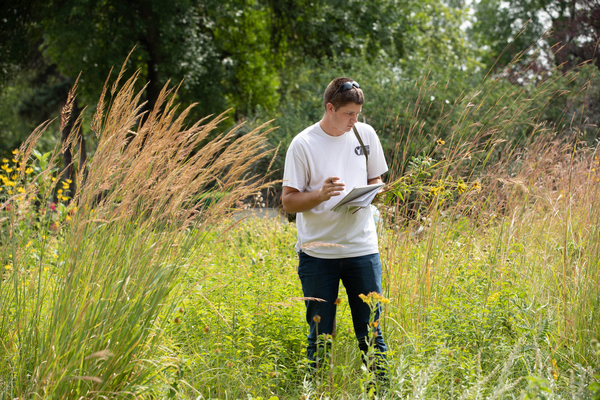 Person standing in field of tall grass.